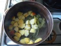 vaření z komonice lékařské, kompot 